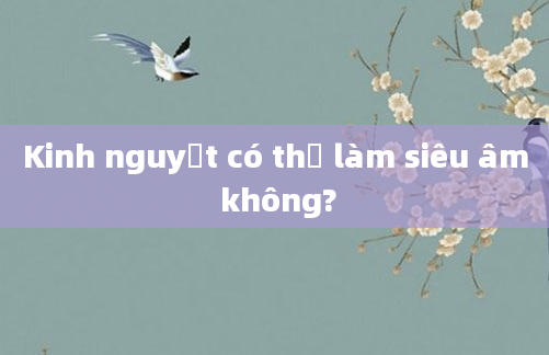 Kinh nguyệt có thể làm siêu âm không?