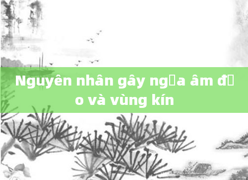 Nguyên nhân gây ngứa âm đạo và vùng kín