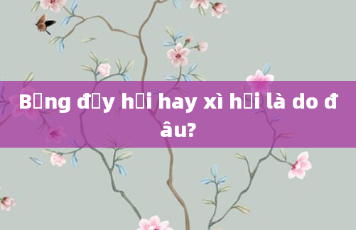 Bụng đầy hơi hay xì hơi là do đâu?