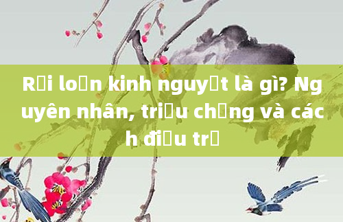 Rối loạn kinh nguyệt là gì? Nguyên nhân, triệu chứng và cách điều trị
