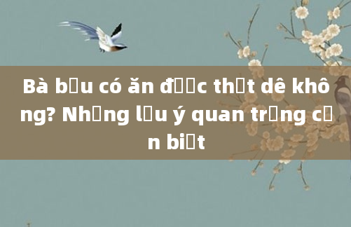 Bà bầu có ăn được thịt dê không? Những lưu ý quan trọng cần biết