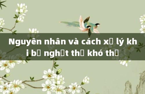 Nguyên nhân và cách xử lý khi bị nghẹt thở khó thở
