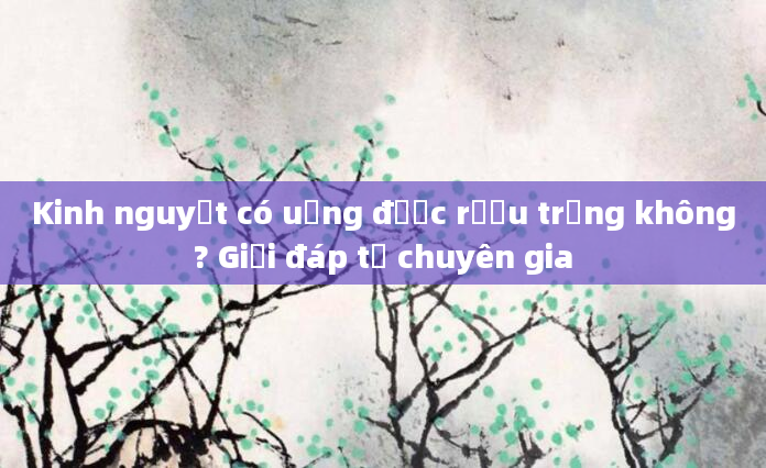 Kinh nguyệt có uống được rượu trắng không? Giải đáp từ chuyên gia