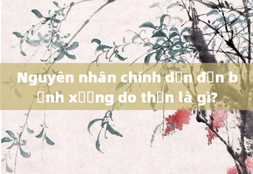 Nguyên nhân chính dẫn đến bệnh xương do thận là gì?