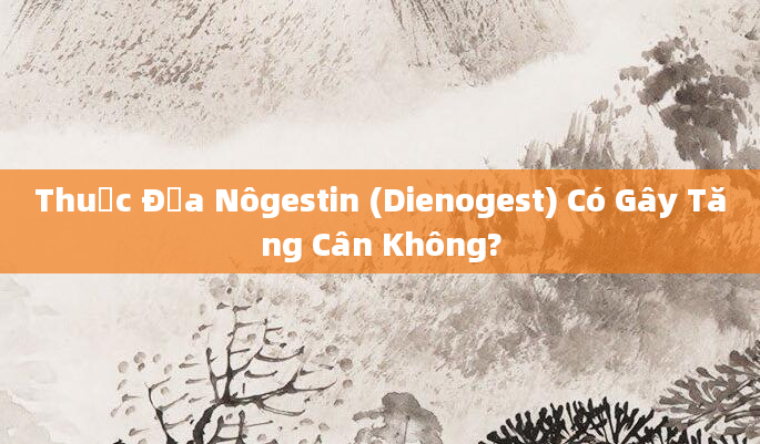 Thuốc Địa Nôgestin (Dienogest) Có Gây Tăng Cân Không?