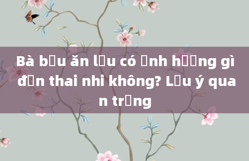Bà bầu ăn lẩu có ảnh hưởng gì đến thai nhi không? Lưu ý quan trọng