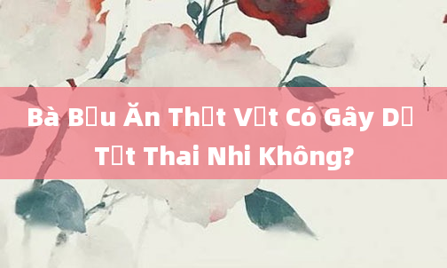 Bà Bầu Ăn Thịt Vịt Có Gây Dị Tật Thai Nhi Không?