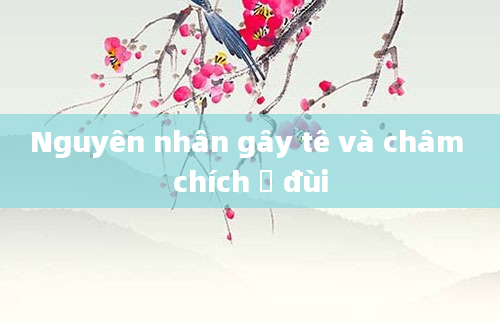 Nguyên nhân gây tê và châm chích ở đùi