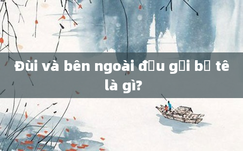 Đùi và bên ngoài đầu gối bị tê là gì?