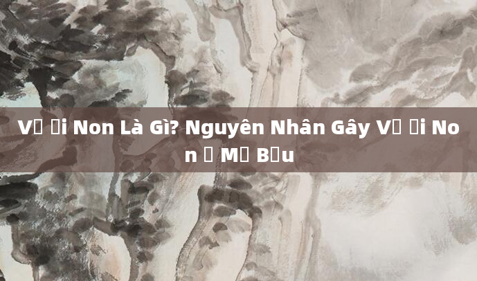Vỡ Ối Non Là Gì? Nguyên Nhân Gây Vỡ Ối Non Ở Mẹ Bầu