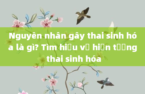 Nguyên nhân gây thai sinh hóa là gì? Tìm hiểu về hiện tượng thai sinh hóa