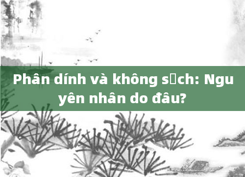 Phân dính và không sạch: Nguyên nhân do đâu?