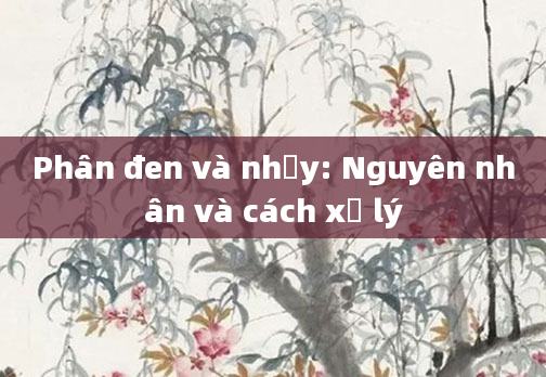 Phân đen và nhầy: Nguyên nhân và cách xử lý