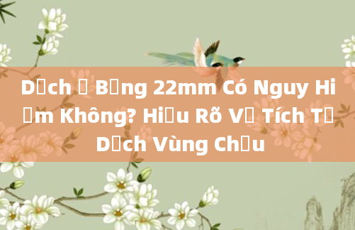 Dịch Ổ Bụng 22mm Có Nguy Hiểm Không? Hiểu Rõ Về Tích Tụ Dịch Vùng Chậu