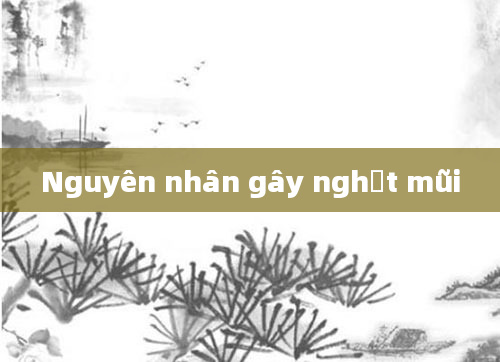 Nguyên nhân gây nghẹt mũi