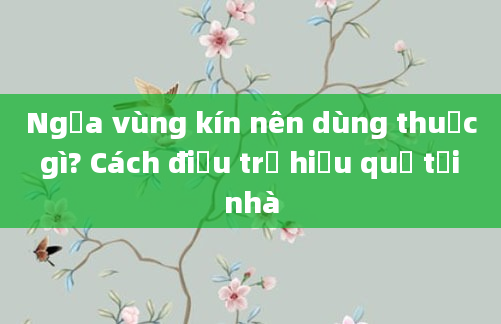 Ngứa vùng kín nên dùng thuốc gì? Cách điều trị hiệu quả tại nhà