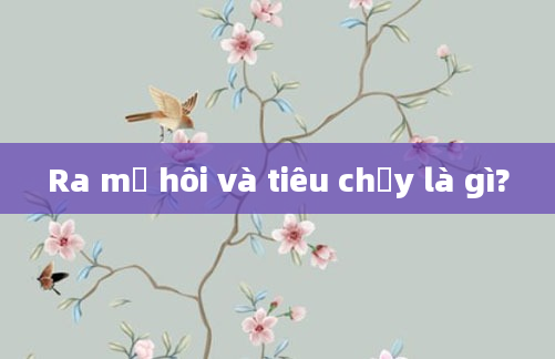 Ra mồ hôi và tiêu chảy là gì?