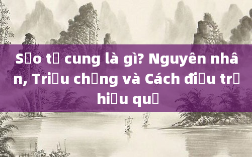 Sẹo tử cung là gì? Nguyên nhân, Triệu chứng và Cách điều trị hiệu quả