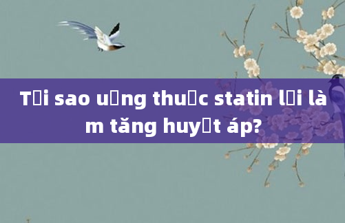Tại sao uống thuốc statin lại làm tăng huyết áp?