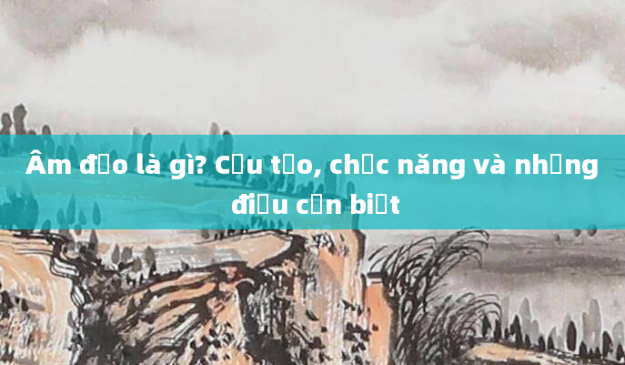 Âm đạo là gì? Cấu tạo, chức năng và những điều cần biết