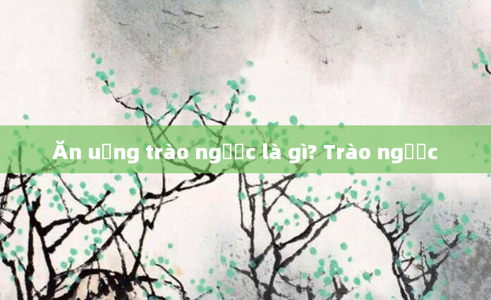 Ăn uống trào ngược là gì? Trào ngược