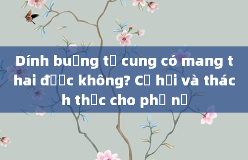 Dính buồng tử cung có mang thai được không? Cơ hội và thách thức cho phụ nữ