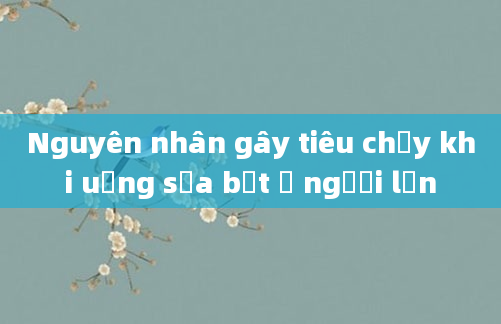 Nguyên nhân gây tiêu chảy khi uống sữa bột ở người lớn