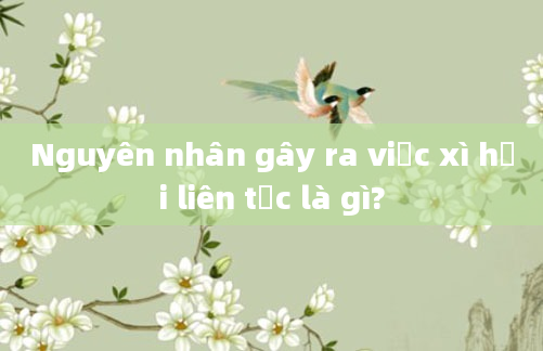 Nguyên nhân gây ra việc xì hơi liên tục là gì?