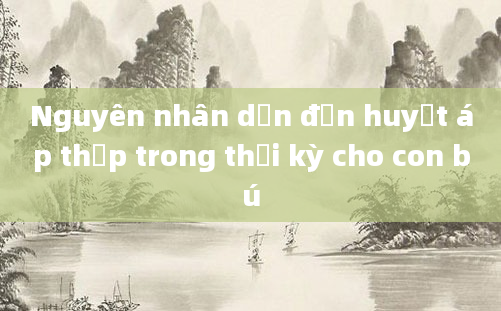 Nguyên nhân dẫn đến huyết áp thấp trong thời kỳ cho con bú