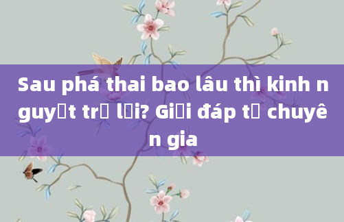 Sau phá thai bao lâu thì kinh nguyệt trở lại? Giải đáp từ chuyên gia