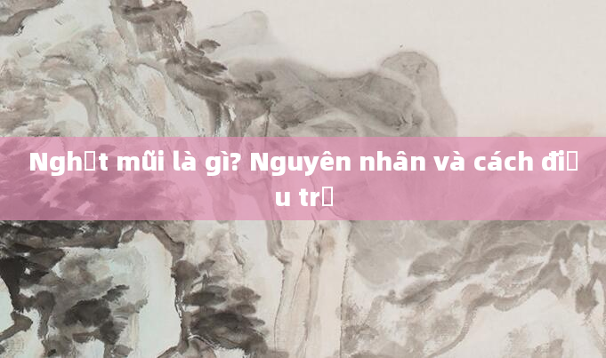 Nghẹt mũi là gì? Nguyên nhân và cách điều trị