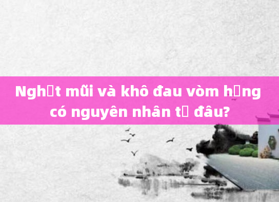 Nghẹt mũi và khô đau vòm họng có nguyên nhân từ đâu?