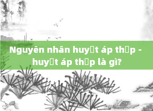 Nguyên nhân huyết áp thấp - huyết áp thấp là gì?