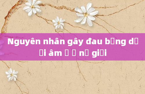 Nguyên nhân gây đau bụng dưới âm ỉ ở nữ giới