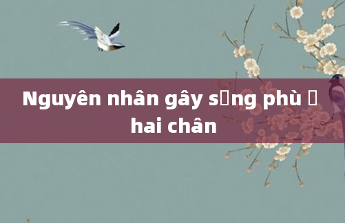 Nguyên nhân gây sưng phù ở hai chân