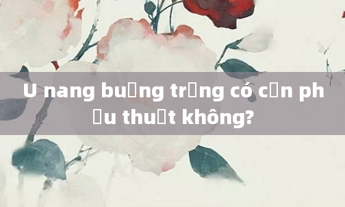 U nang buồng trứng có cần phẫu thuật không?