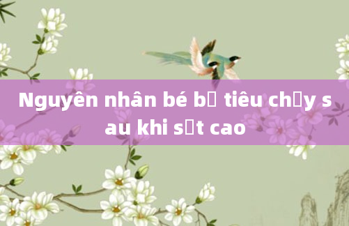 Nguyên nhân bé bị tiêu chảy sau khi sốt cao