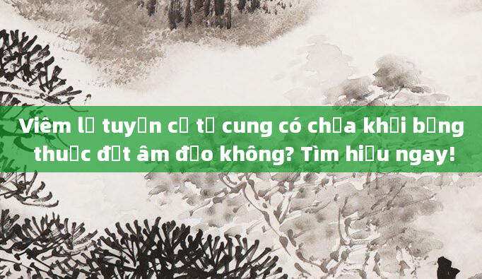 Viêm lộ tuyến cổ tử cung có chữa khỏi bằng thuốc đặt âm đạo không? Tìm hiểu ngay!