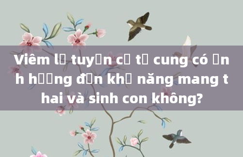 Viêm lộ tuyến cổ tử cung có ảnh hưởng đến khả năng mang thai và sinh con không?