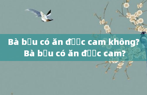 Bà bầu có ăn được cam không? Bà bầu có ăn được cam?
