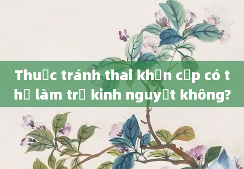 Thuốc tránh thai khẩn cấp có thể làm trễ kinh nguyệt không?