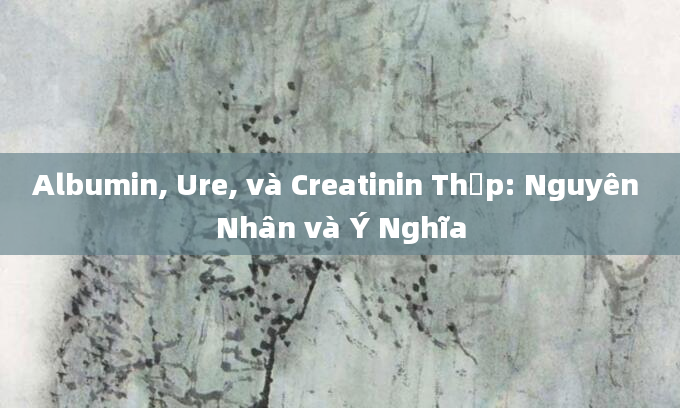 Albumin, Ure, và Creatinin Thấp: Nguyên Nhân và Ý Nghĩa