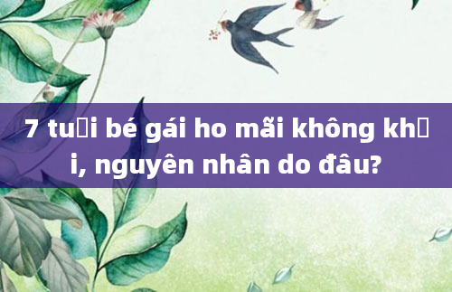 7 tuổi bé gái ho mãi không khỏi, nguyên nhân do đâu?