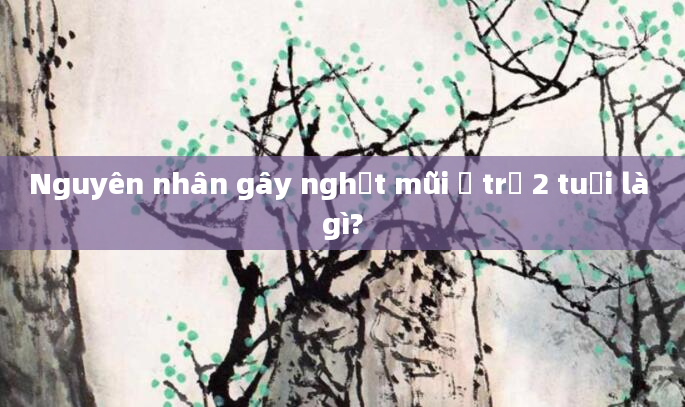 Nguyên nhân gây nghẹt mũi ở trẻ 2 tuổi là gì?