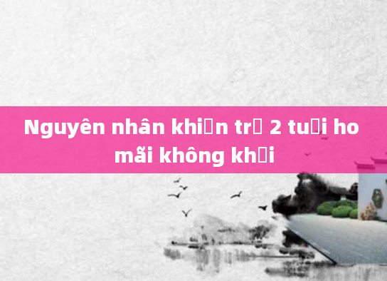 Nguyên nhân khiến trẻ 2 tuổi ho mãi không khỏi