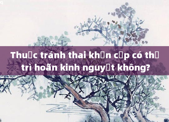Thuốc tránh thai khẩn cấp có thể trì hoãn kinh nguyệt không?