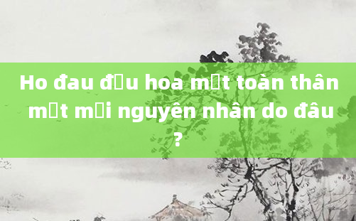 Ho đau đầu hoa mắt toàn thân mệt mỏi nguyên nhân do đâu?