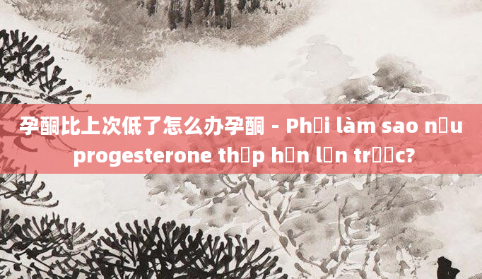 孕酮比上次低了怎么办孕酮 - Phải làm sao nếu progesterone thấp hơn lần trước?