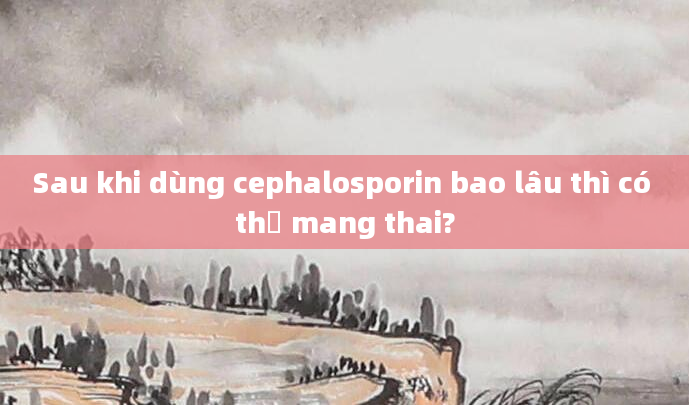 Sau khi dùng cephalosporin bao lâu thì có thể mang thai?