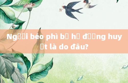 Người béo phì bị hạ đường huyết là do đâu?